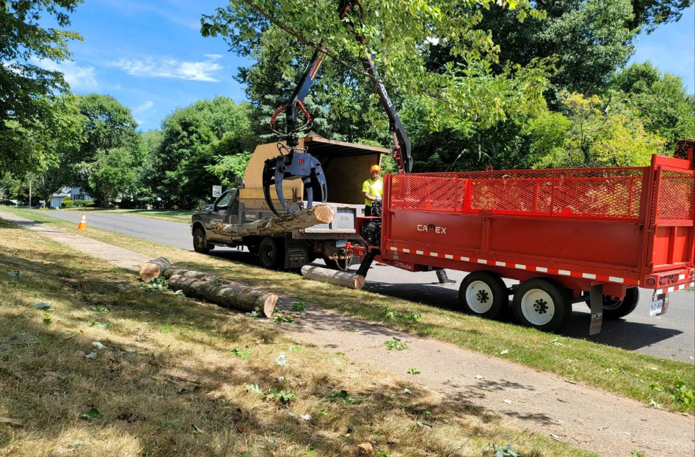 Worker using a grappling claw to pick up and remove logs from cut down tree.