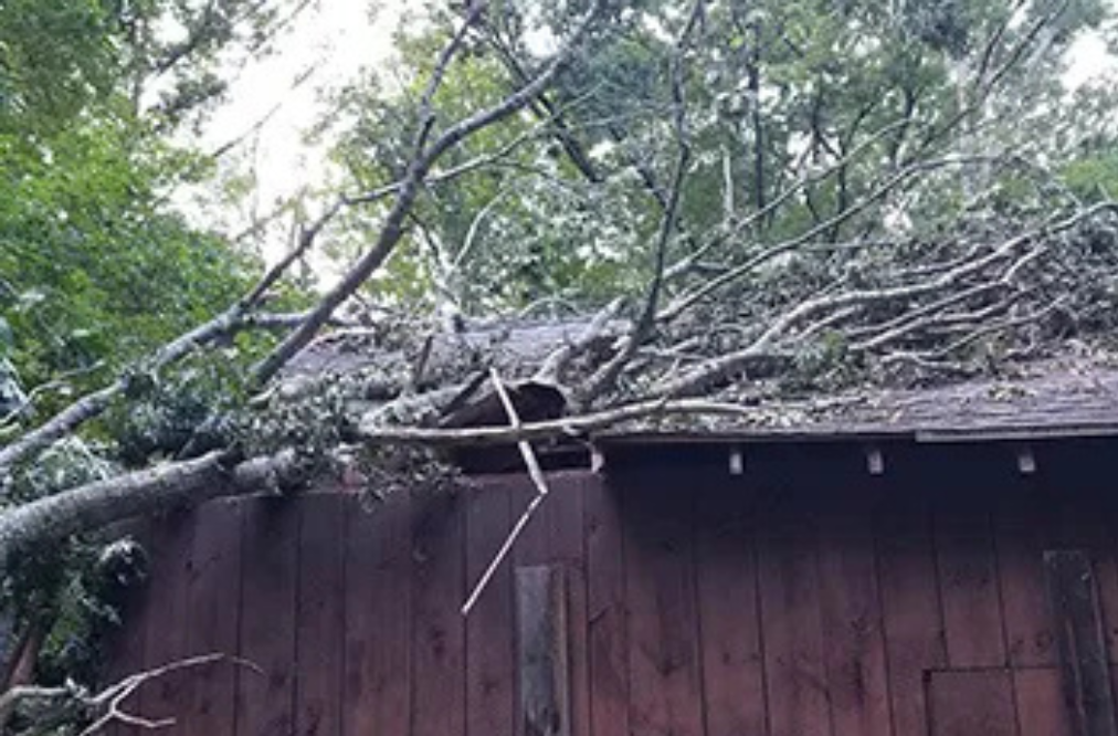 Tree branches on roof after a severe storm