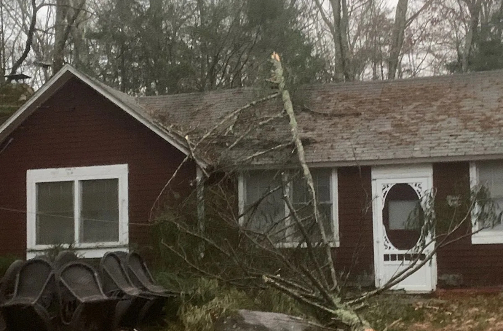 Broken tree limb that fell on a house during a storm