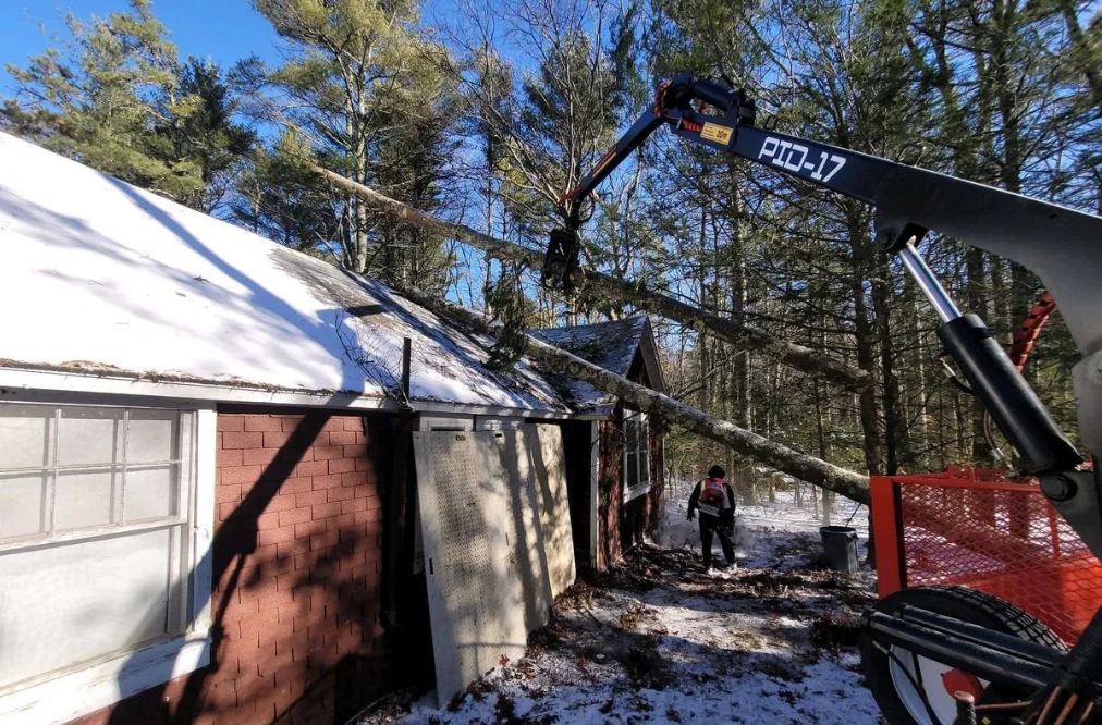 Crane lifting a tree that fell on a house