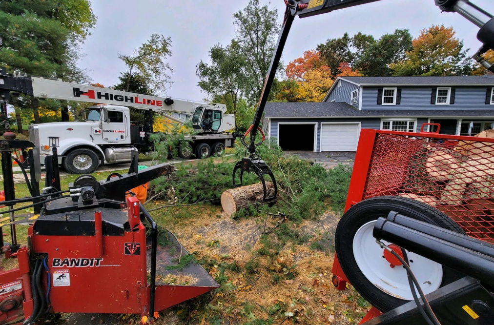 Grappling claw picking up a log after tree was cut down