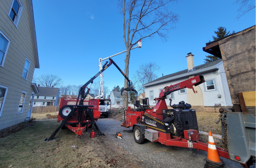 tree removal bucket truck and wood chipper