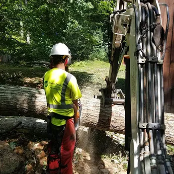 Worker cutting logs for removal