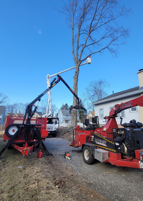 worker in bucket truck