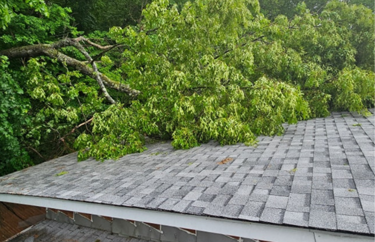 Broken tree branch resting on house after wind storm